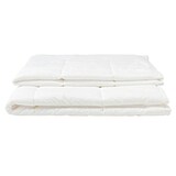 抗菌防臭ポリエステルわた洗える掛ふとん・ニ枚組・ＳＤ