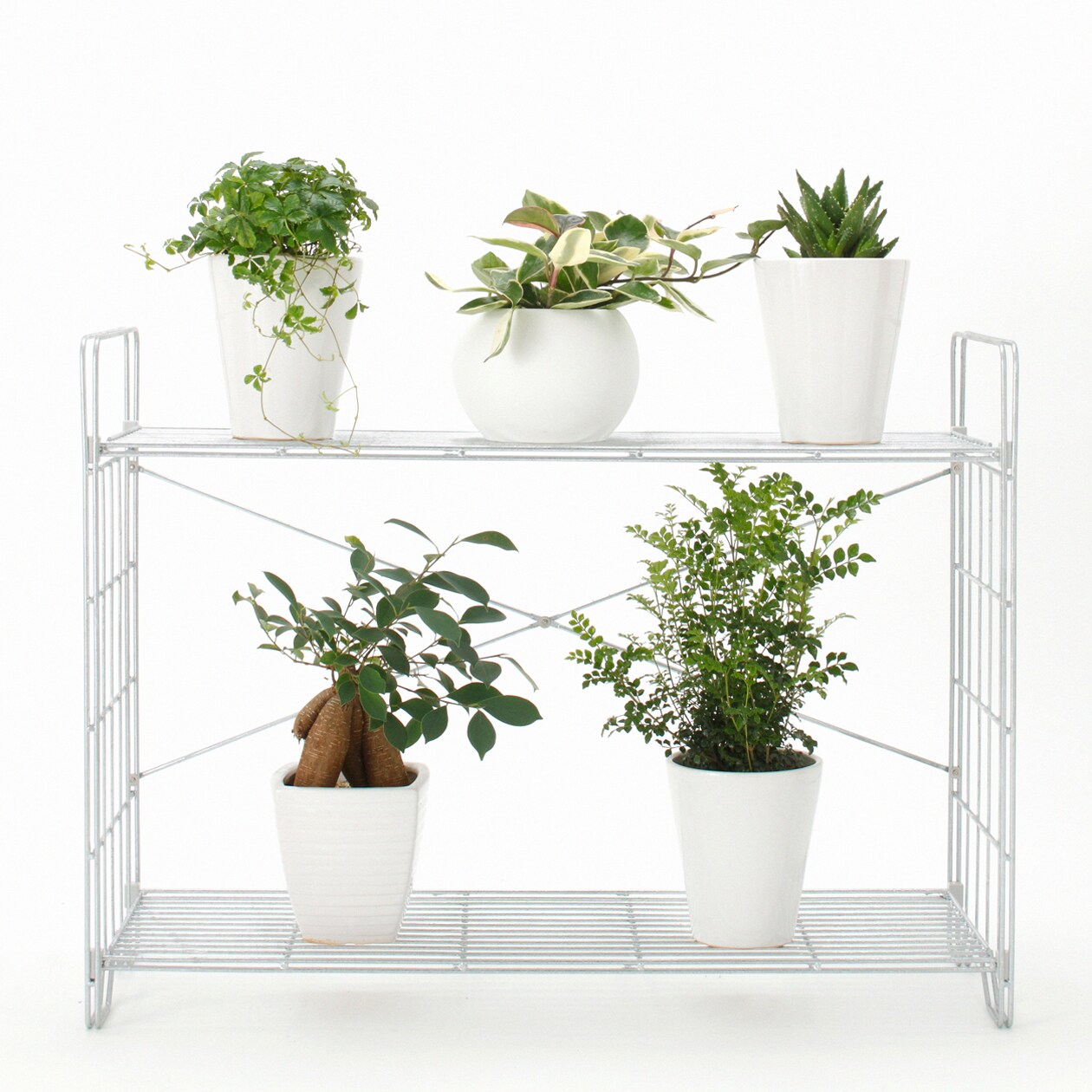 溶融亜鉛シェルフ・２段組立て式