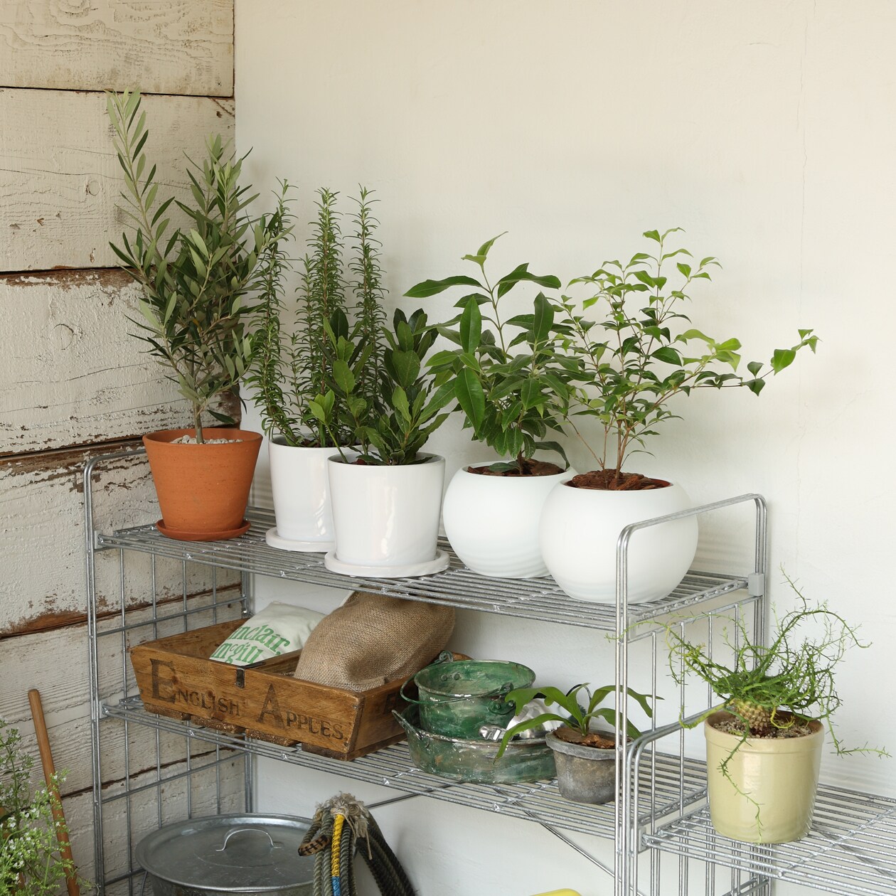 溶融亜鉛シェルフ・３段組立て式