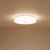 アクリルシーリングライト・６１Ｗ