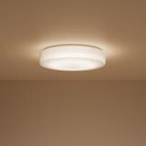 アクリルシーリングライト・６１Ｗ