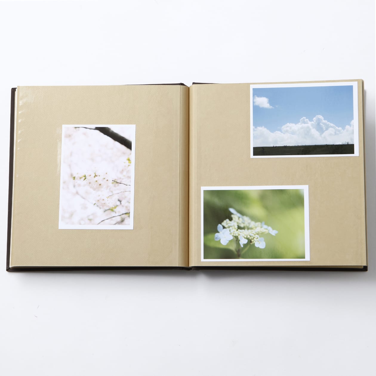 紙クロス増やせる　クラフト　フリー台紙アルバム