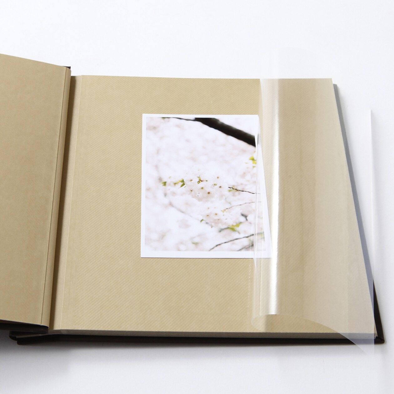 紙クロス増やせる　クラフト　フリー台紙アルバム