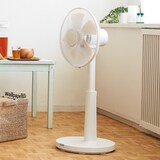 扇風機（リモコン付）