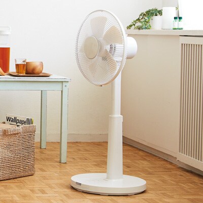 扇風機（リモコン付）