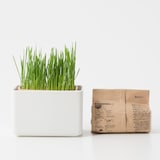 瀬戸焼　磁器角鉢