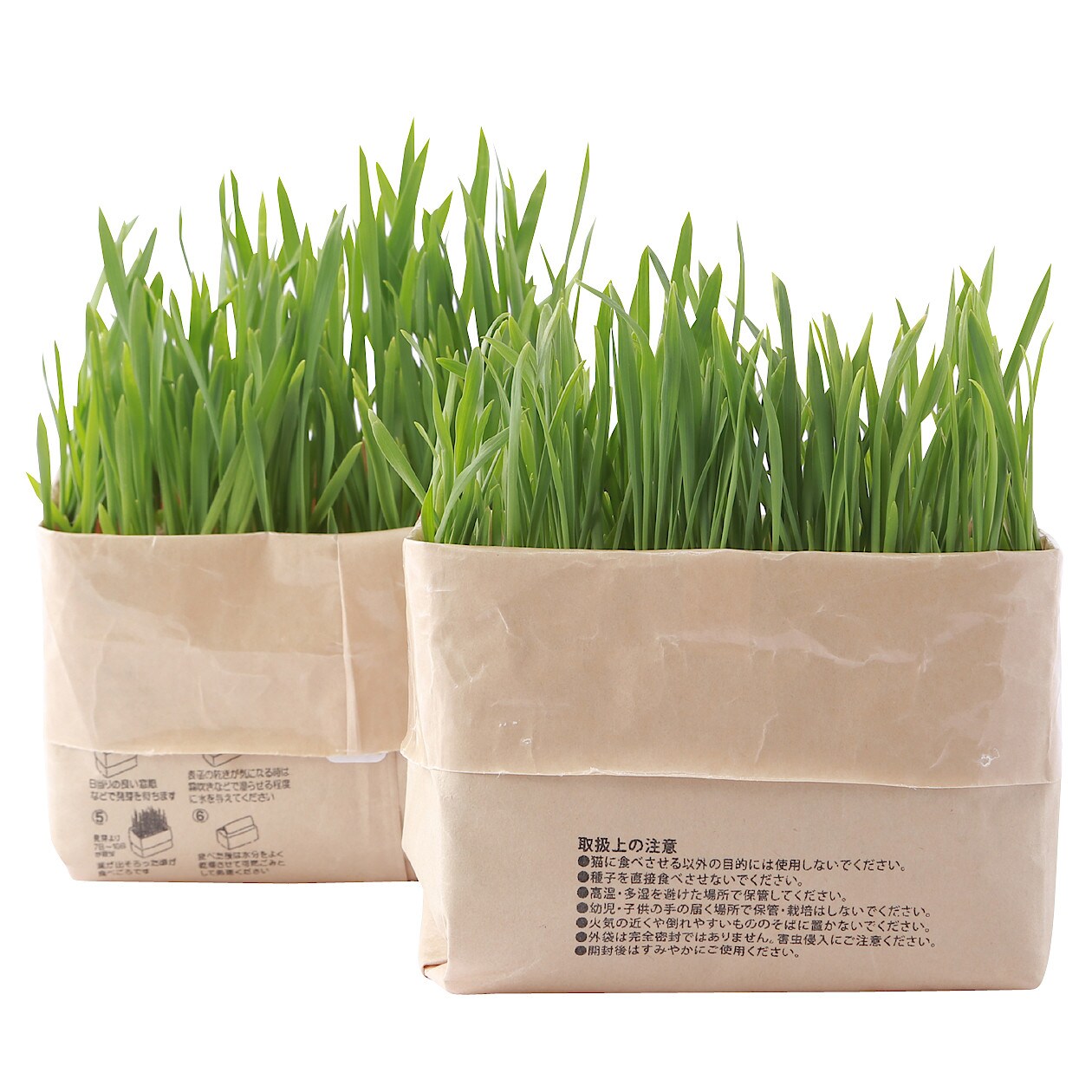 まとめ買い 猫草栽培セット 2個入り 10パック 通販 無印良品 まとめ買い 猫草栽培セット 2個入り 10パック 通販 無印良品
