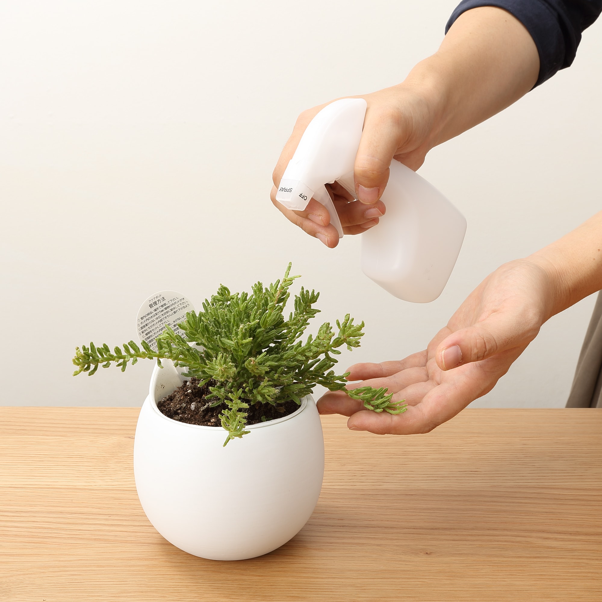 ポリボトル・スプレー付・ミニ