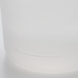 底面給水鉢の観葉植物・３号