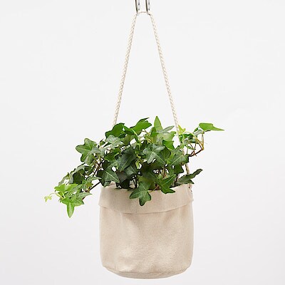 吊りさげるプランターカバー 帆布 型番 ｍｊ ｐｃ１ 鉢が選べる底面給水鉢の観葉植物 通販 無印良品