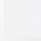 植林木ペーパールーズリーフ／裏うつりしにくいルーズリーフ