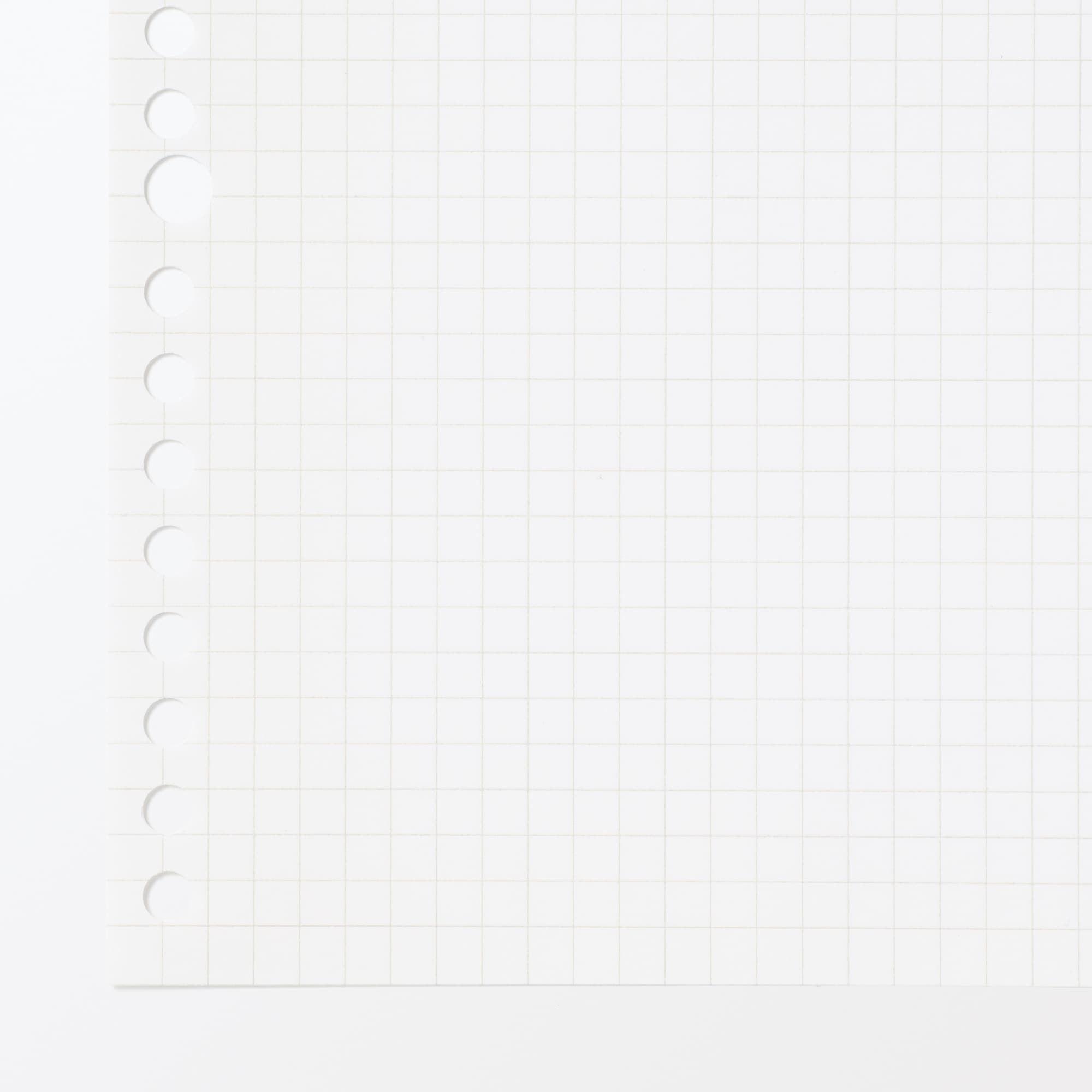 植林木ペーパールーズリーフ／裏うつりしにくいルーズリーフ