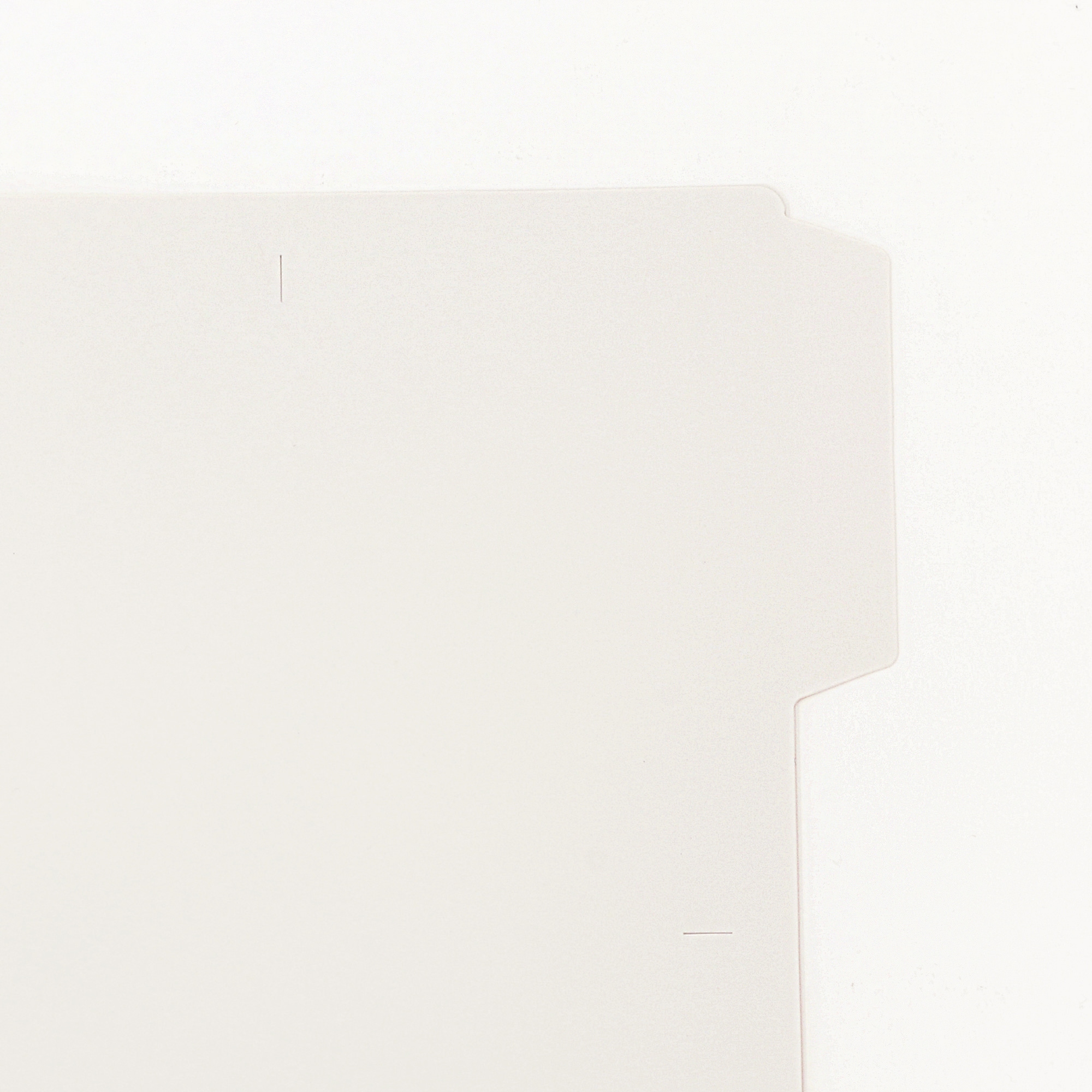 発泡ポリプロピレン個別フォルダ