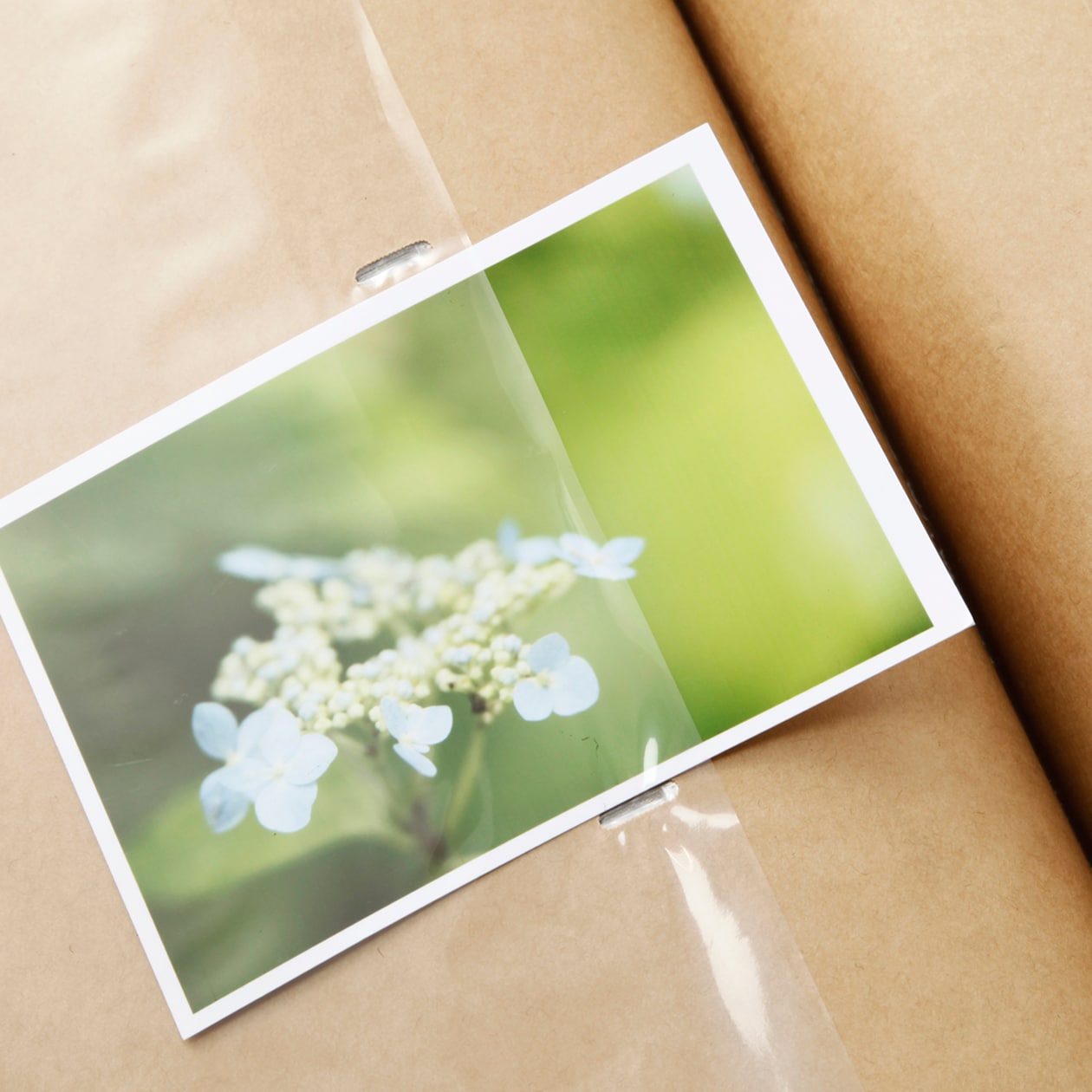 アルバム・３段