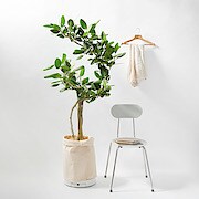 排水できるプランタートレー １０号用 鉢 プランター 鉢カバー 通販 無印良品