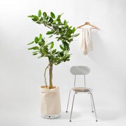 巻きつけるプランターカバー １０号用 帆布 鉢 プランター 鉢カバー 通販 無印良品