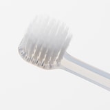 ポリプロピレン歯ブラシ　ワイドヘッド