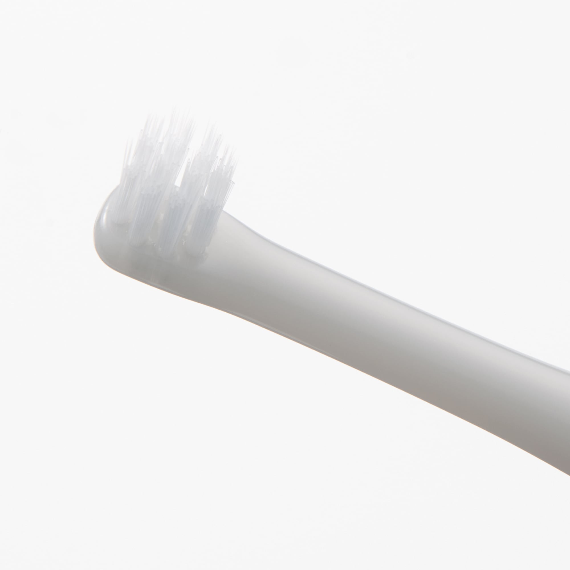 ポリプロピレン歯ブラシ　コンパクトヘッド