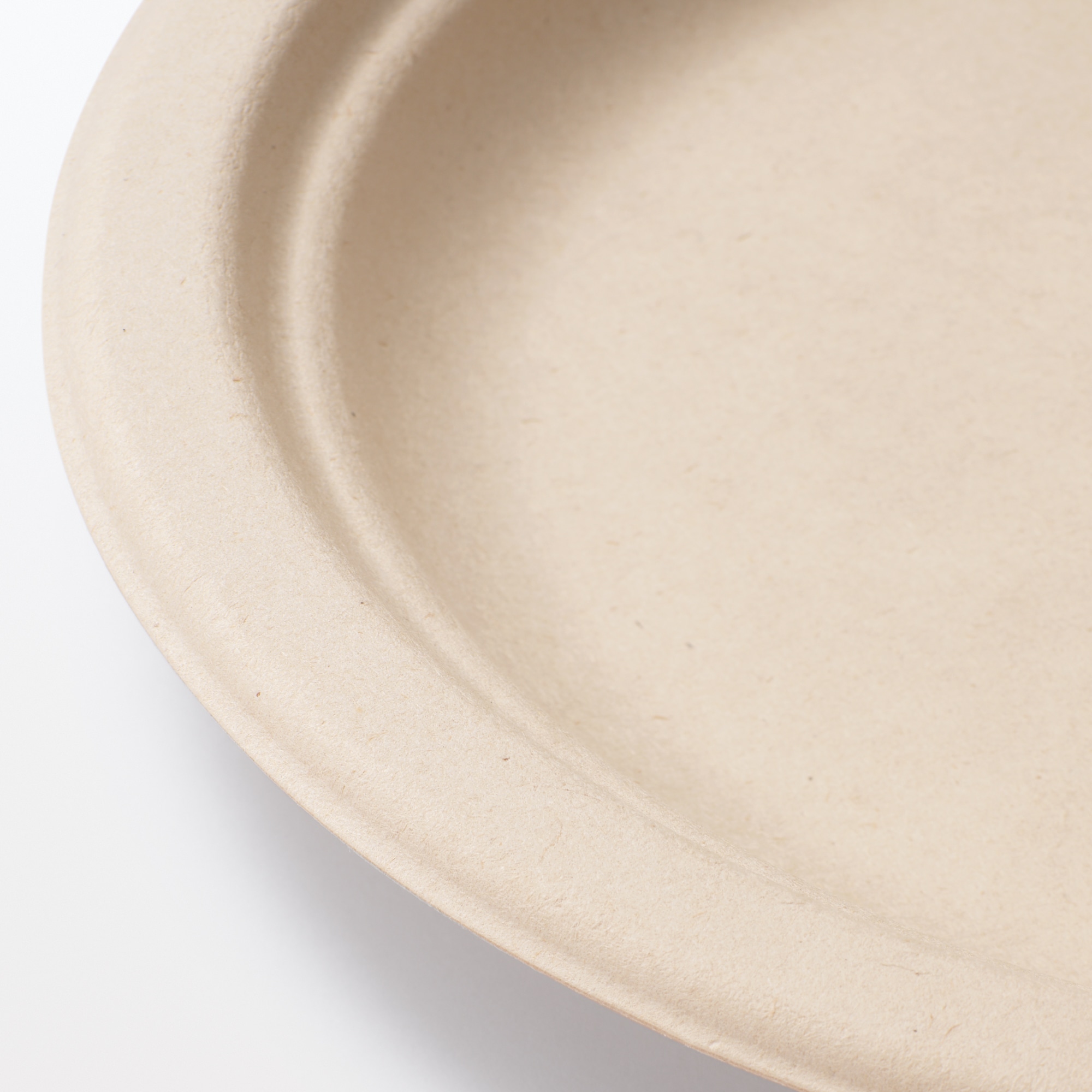 バガスと竹パルプ　プレート　大