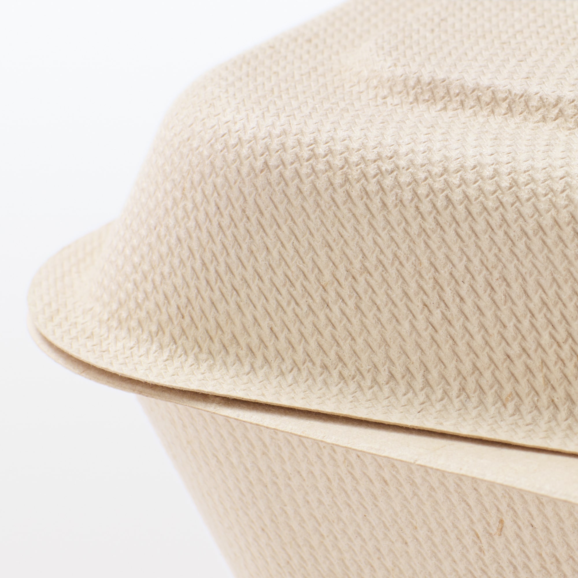 バガスと竹パルプ　フードパック