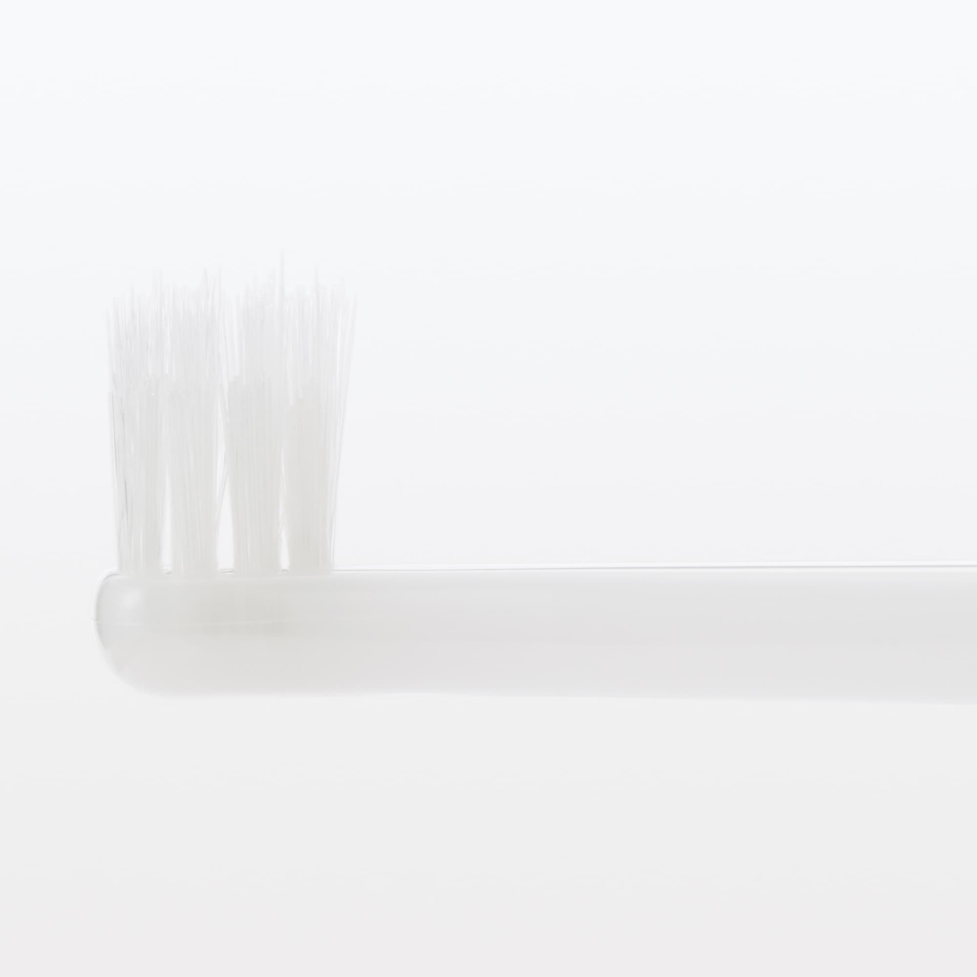 交換用　部分みがき用ヘッド