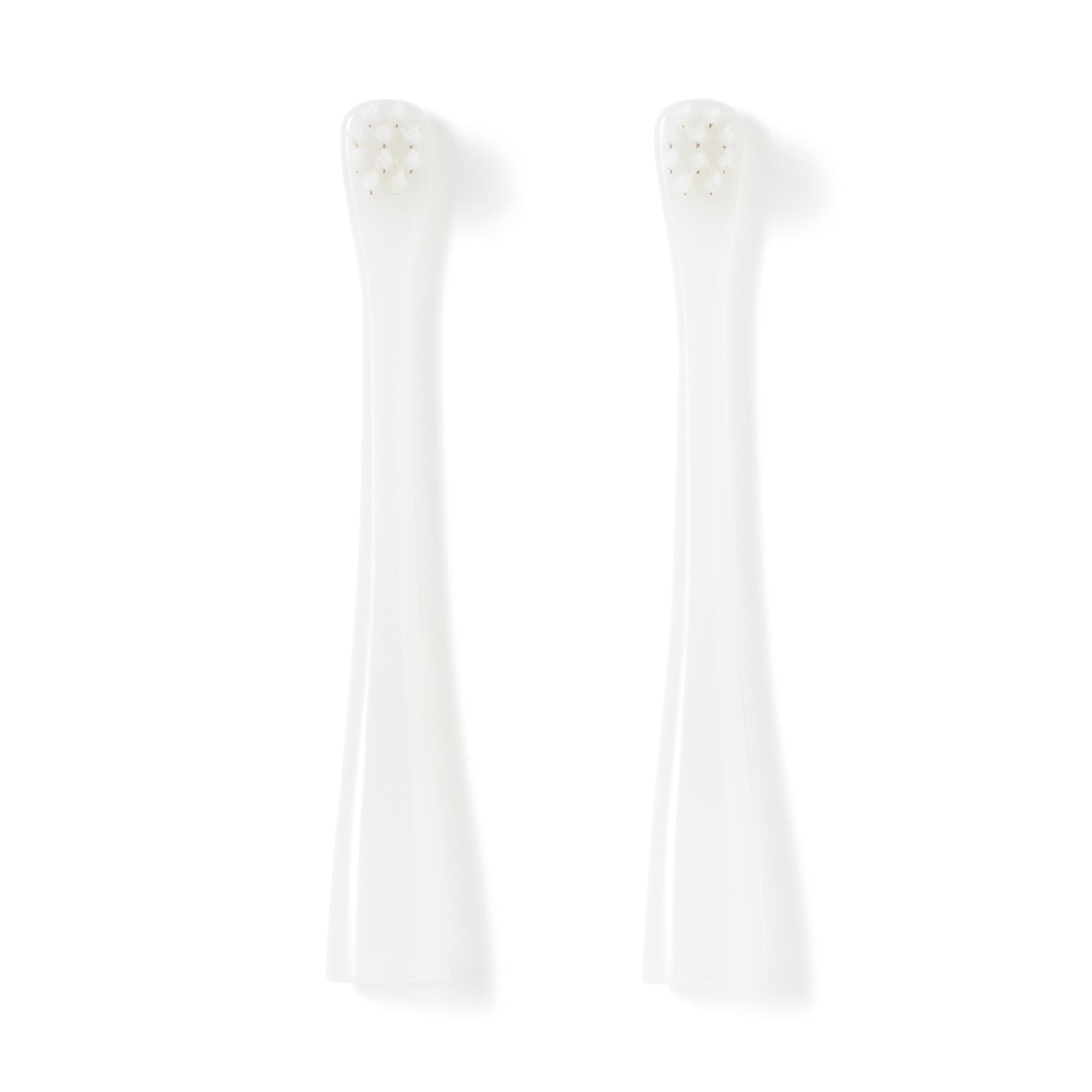 交換用　部分みがき用ヘッド