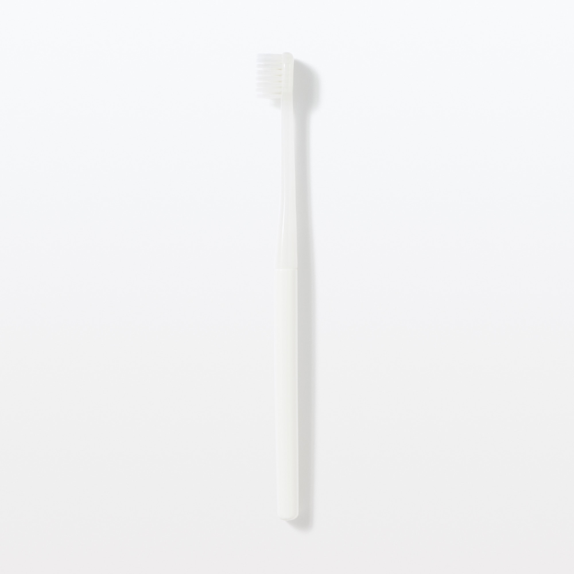 ヘッドが交換できる歯ブラシ　ワイドヘッド