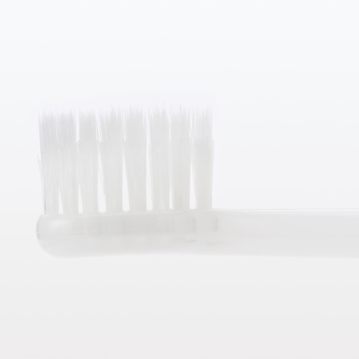 ヘッドが交換できる歯ブラシ　ワイドヘッド