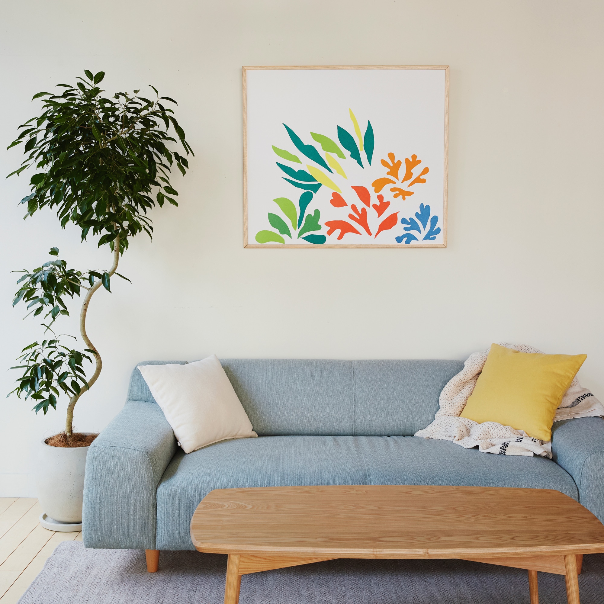 ［ＩＤＥＥ］ＰＬＡＩＳＩＲ　ＳＯＦＡ　ＢＬＵＥ　ＧＲＡＹ