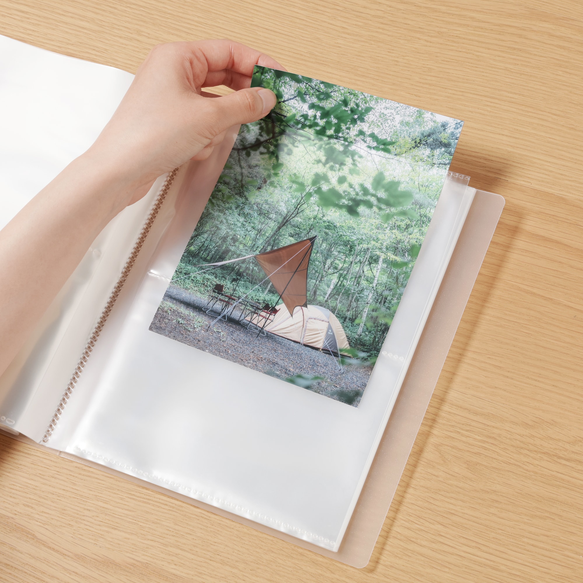 ポリプロピレンフォト・ハガキホルダー・２段