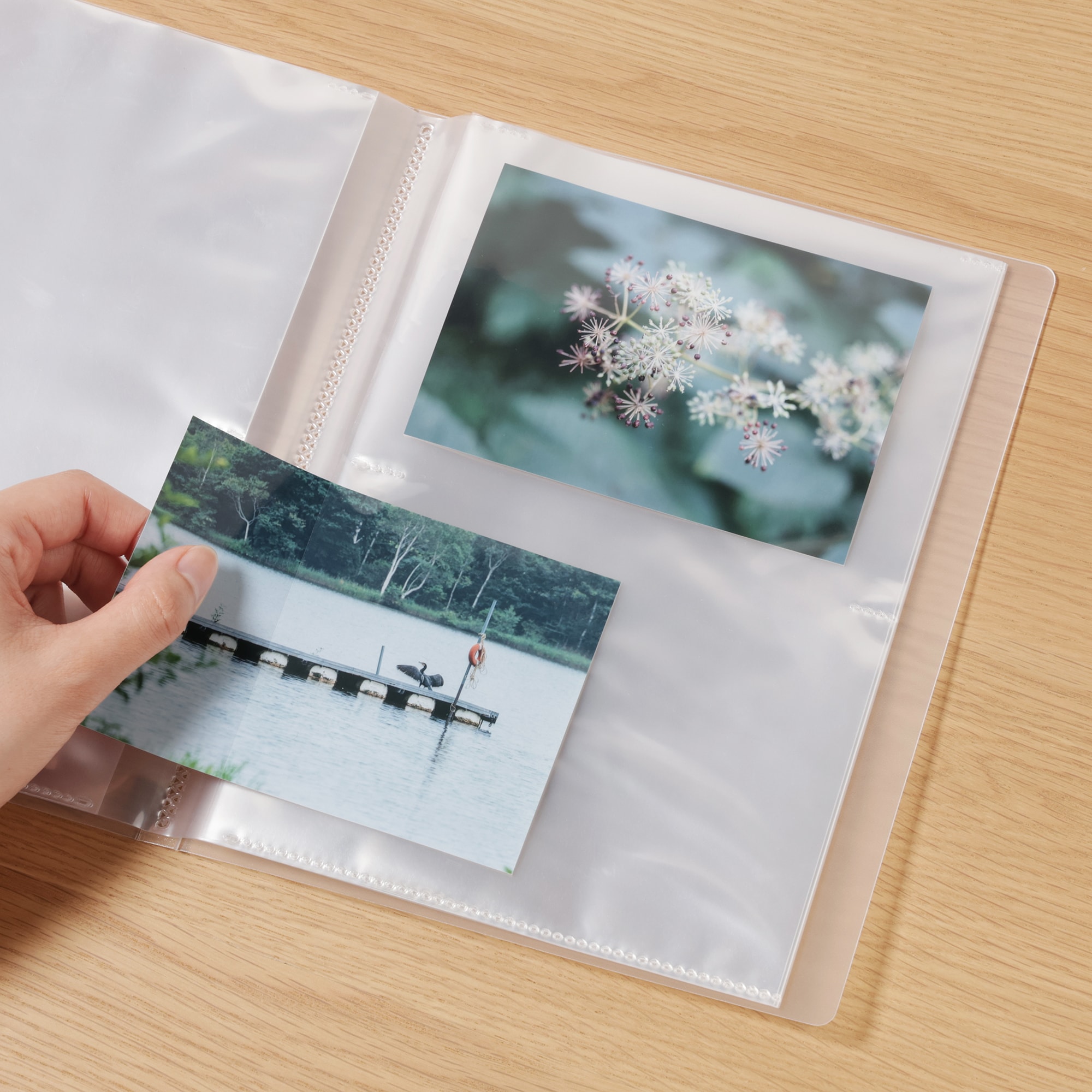 ポリプロピレンフォト・ハガキホルダー・２段