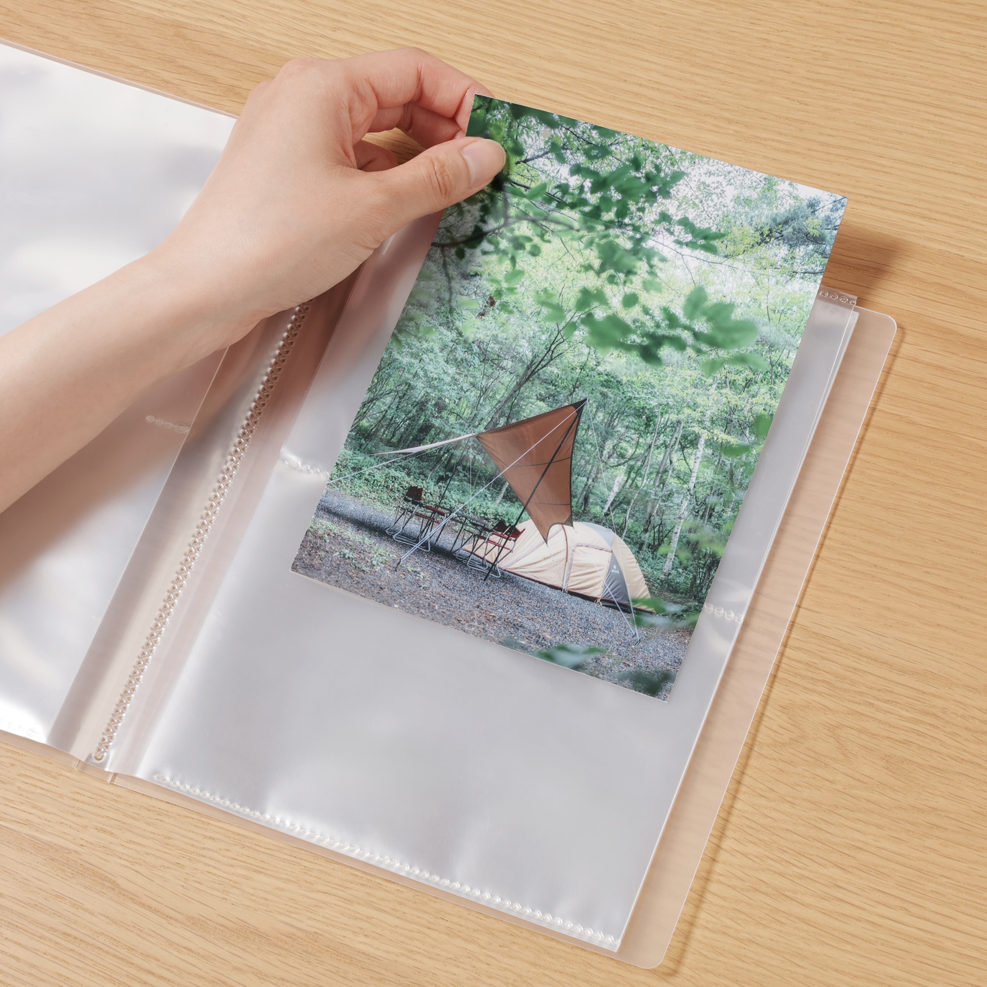 ポリプロピレンフォト・ハガキホルダー・２段