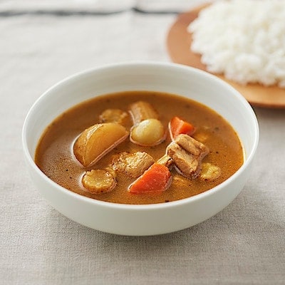 チキンとごろごろ野菜のスープカレー