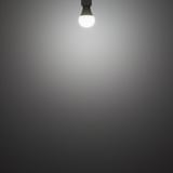 ＬＥＤ電球　４０形相当　昼白色（口金：Ｅ１７）