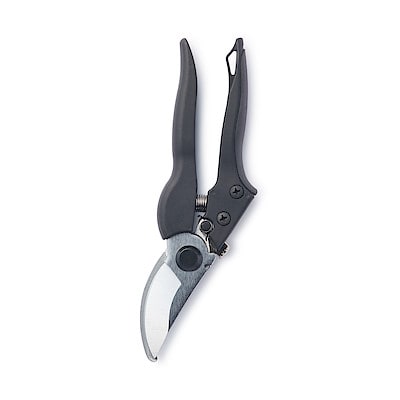 剪定ばさみ　約１８ｃｍ