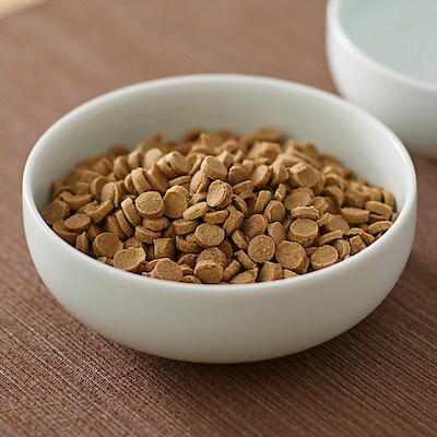 犬のごはん　シニア犬用　８００ｇ