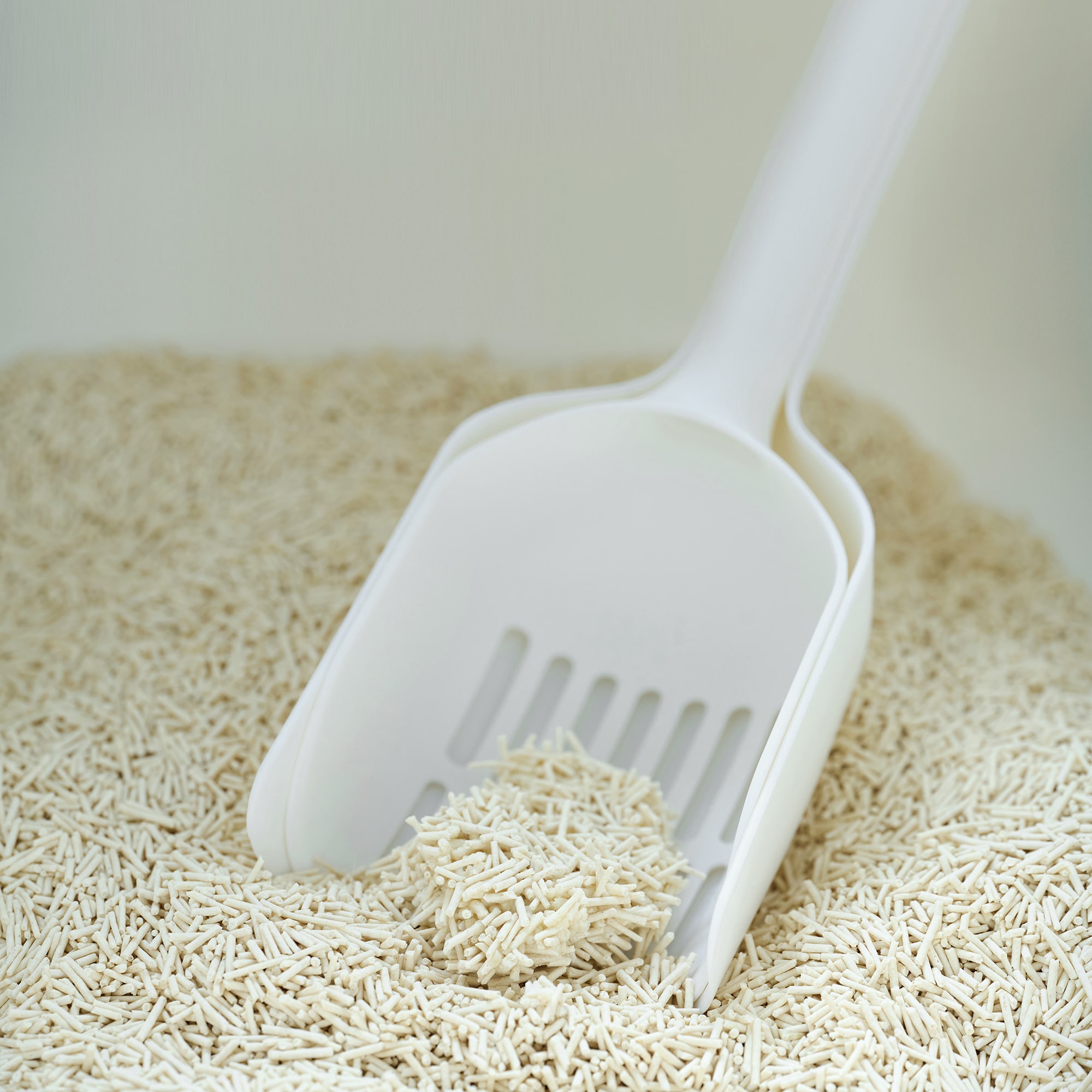 ポリプロピレン　猫砂用スコップ