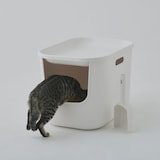 ポリプロピレン　猫砂用スコップ