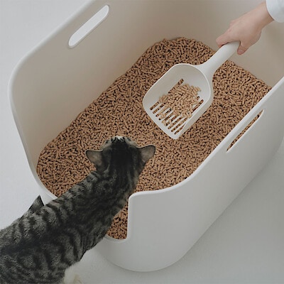 【猫用】ポリプロピレン　猫砂用スコップ　約幅１２×奥行３１×高さ８ｃｍ