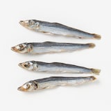 焼きうるめいわし