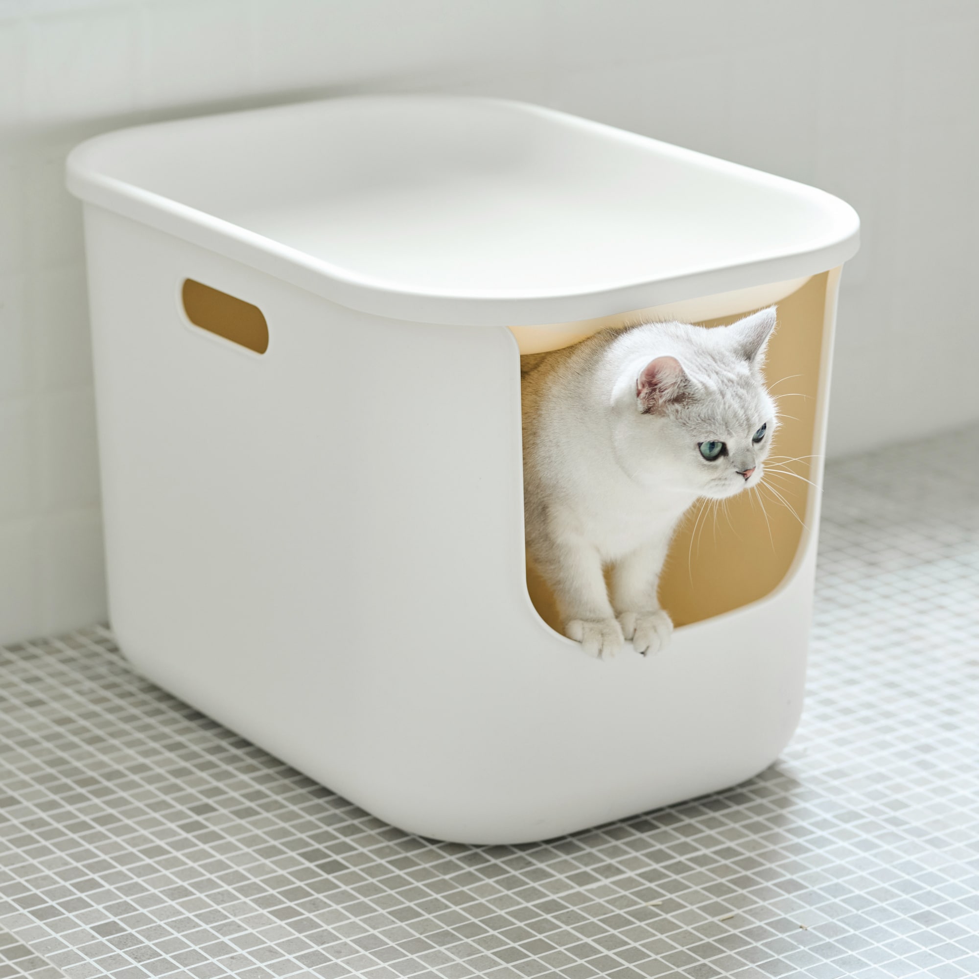 ポリプロピレン ハウスにもなる猫用トイレ | 無印良品