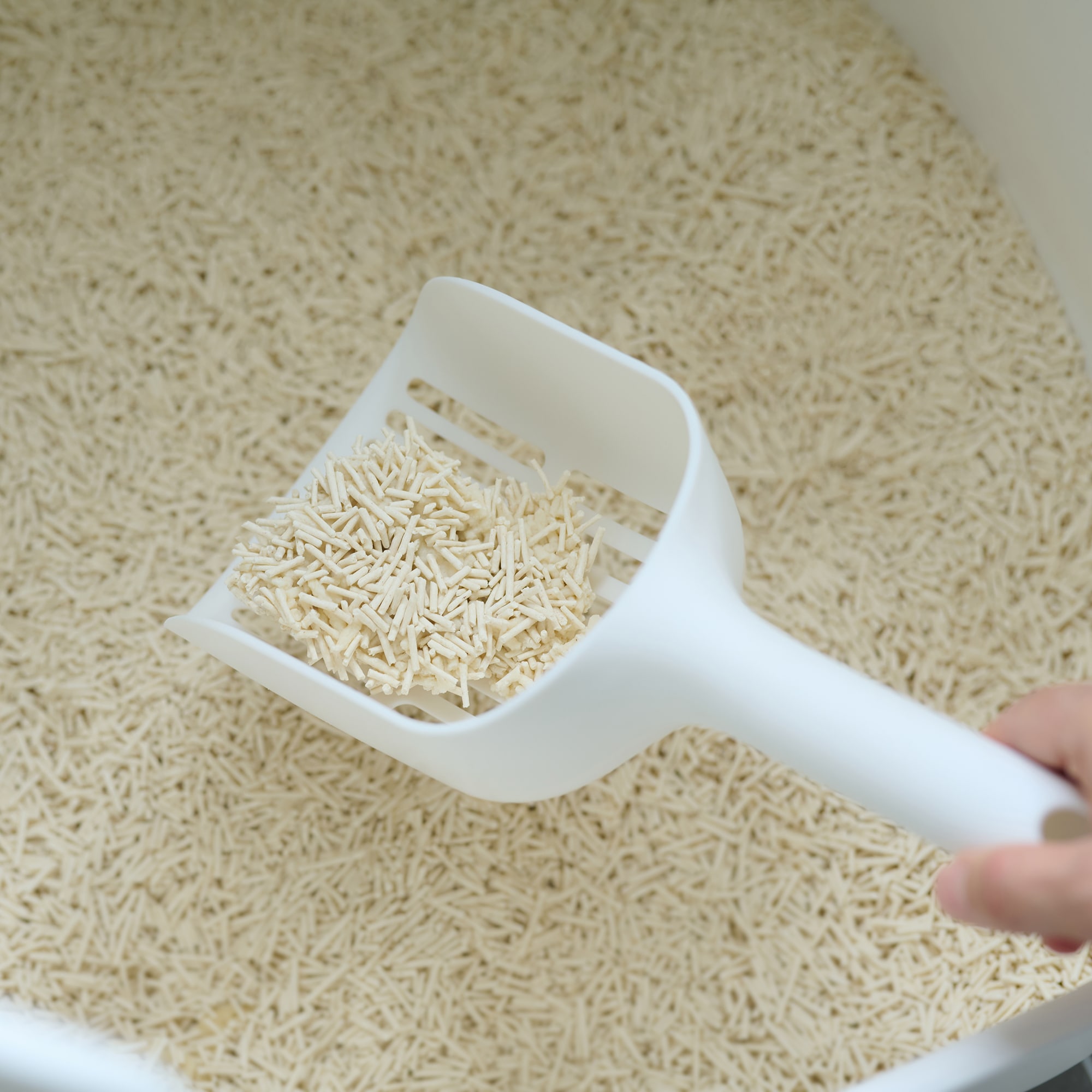 ポリプロピレン　ハウスにもなる猫用トイレ