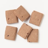 植物素材を生かしたお菓子　ココアとカカオニブのサブレ