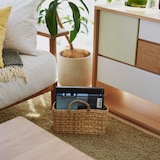 ［ＩＤＥＥ］ＳＴＲＡＷバスケット　Ｓ