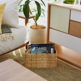 ［ＩＤＥＥ］ＳＴＲＡＷバスケット　Ｍ