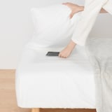 置くだけダニ捕りシート