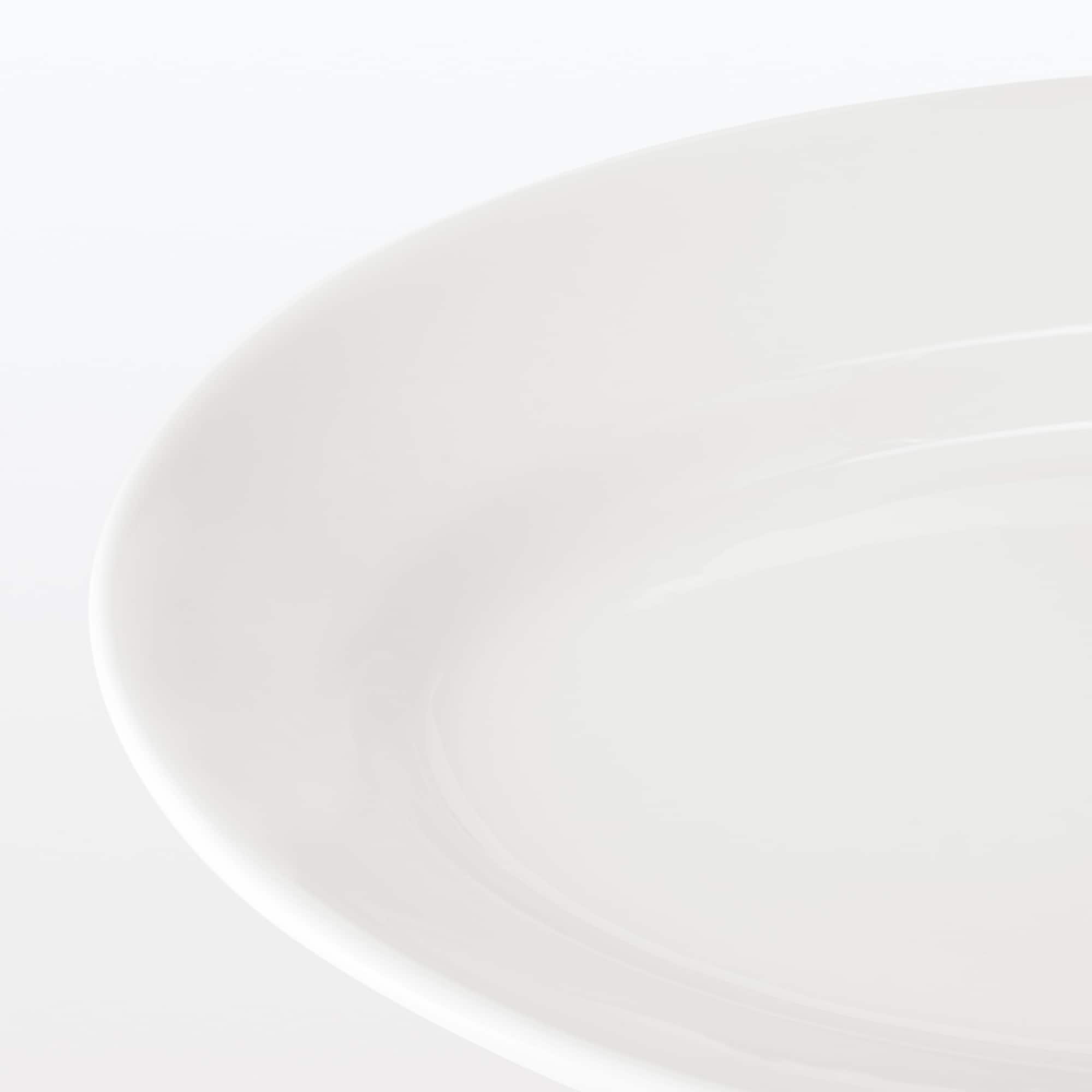 磁器　リムオーバル皿　大