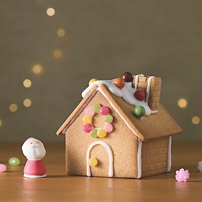 【１１月５日順次発売予定】自分でつくる　組み立てる　ヘクセンハウス　１台分