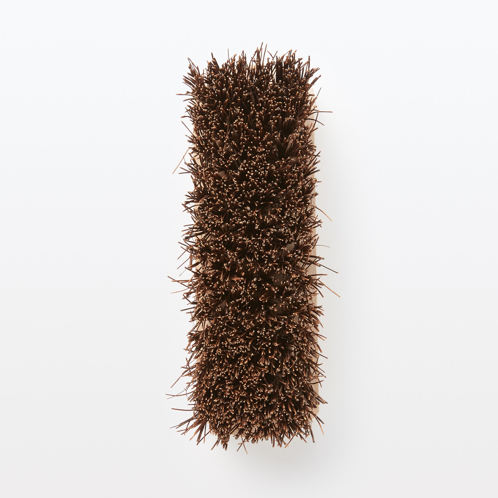 天然素材の掃除用品　シダ材手持ちブラシ