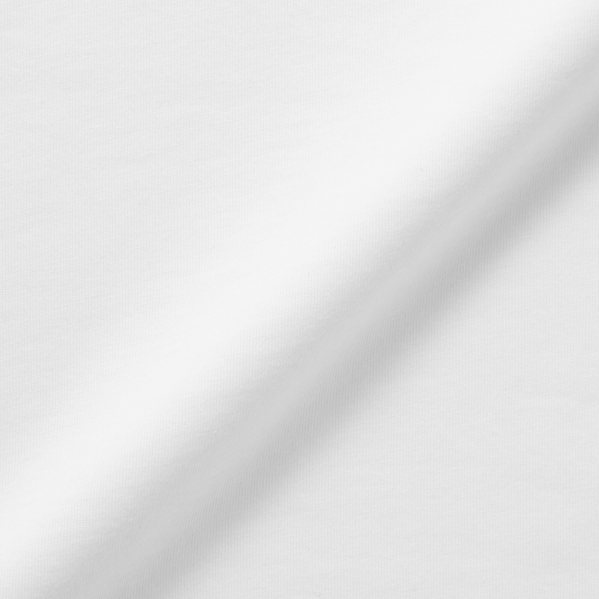 婦人　天竺編みクルーネック長袖Ｔシャツ